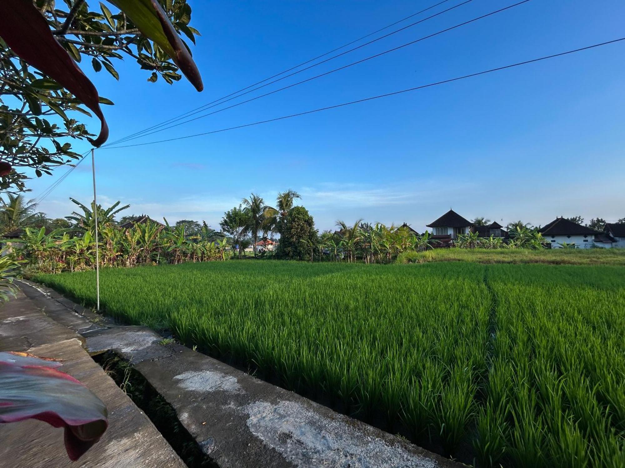 Villa Pondok Edi Ubud Exterior foto